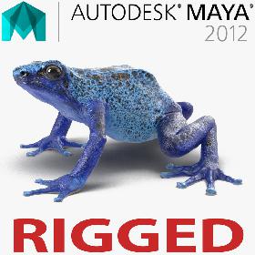 Poison Dart Frog Rigged for Maya